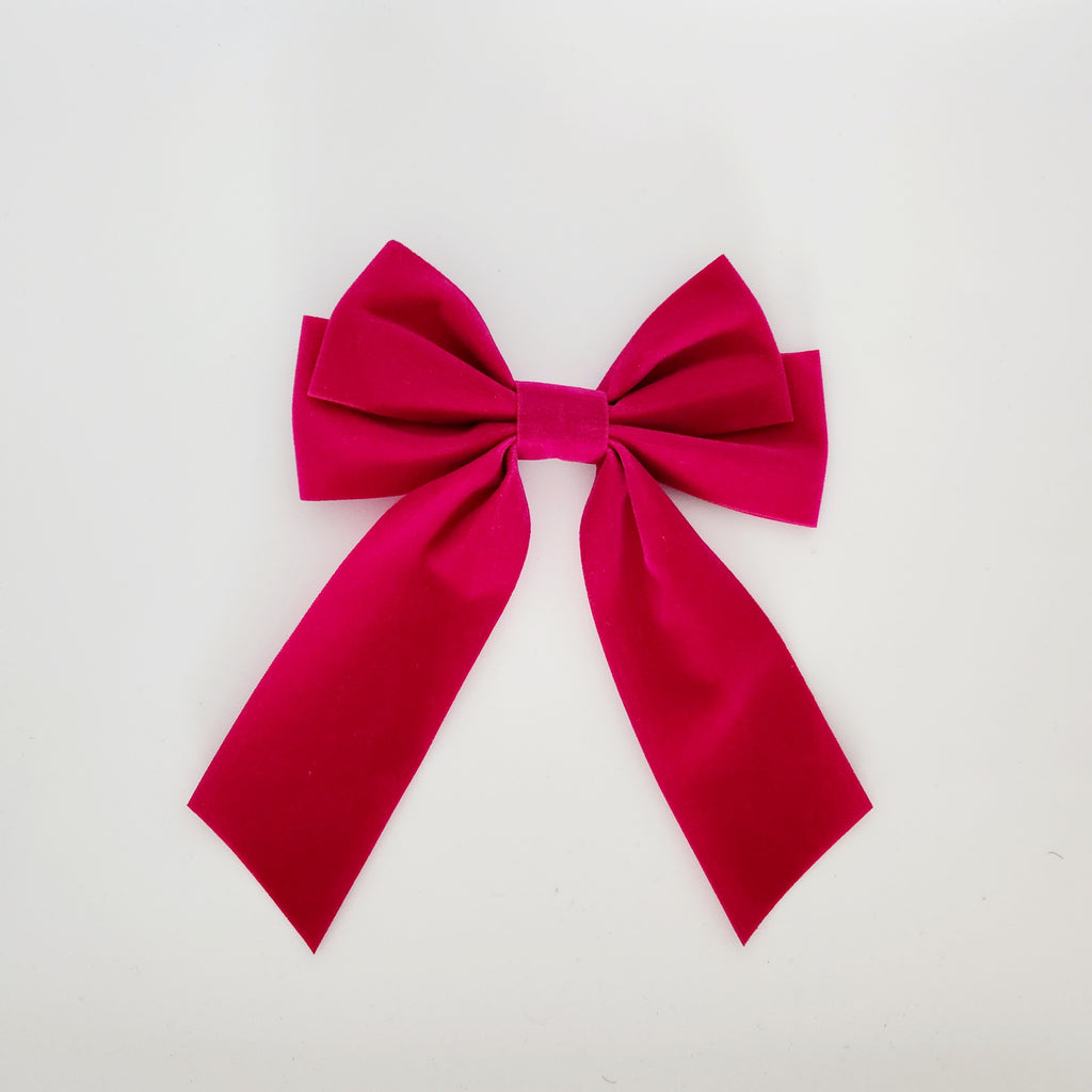 Gwynnie's Accessories | Charlotte Hair Clip Sizzling Pink