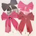 Gwynnie's Accessories | Charlotte Hair Clip Sizzling Pink