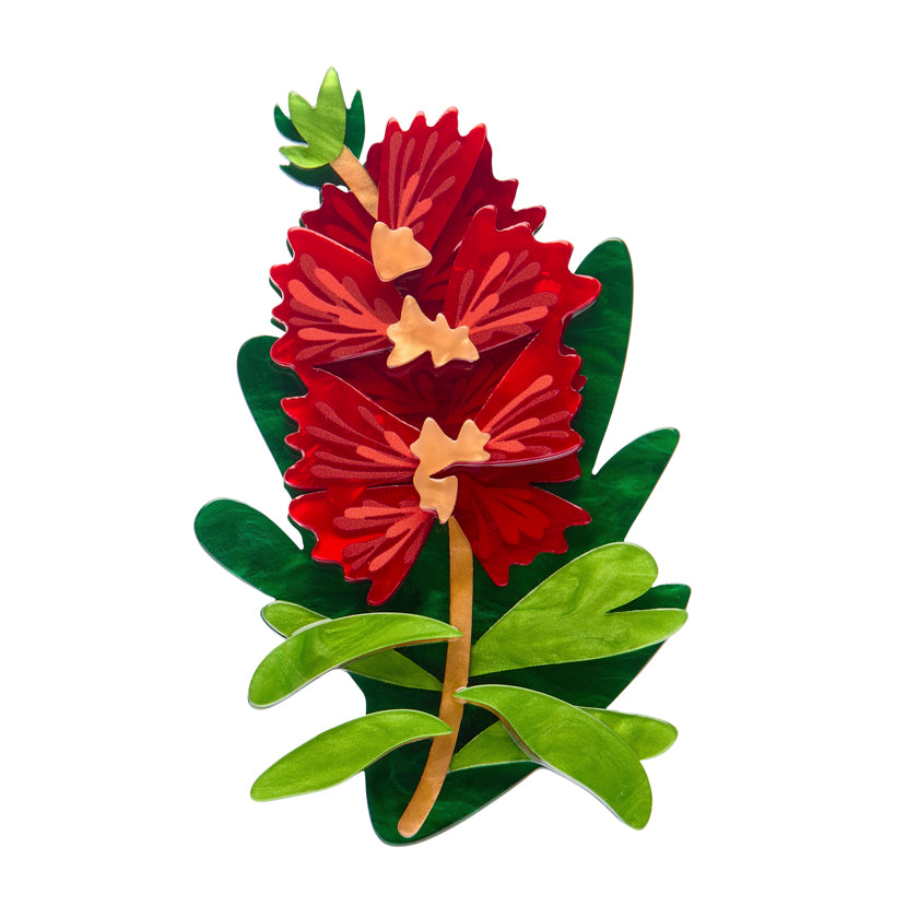 Erstwilder Brooch - Australiana | Crimson Bottlebrush