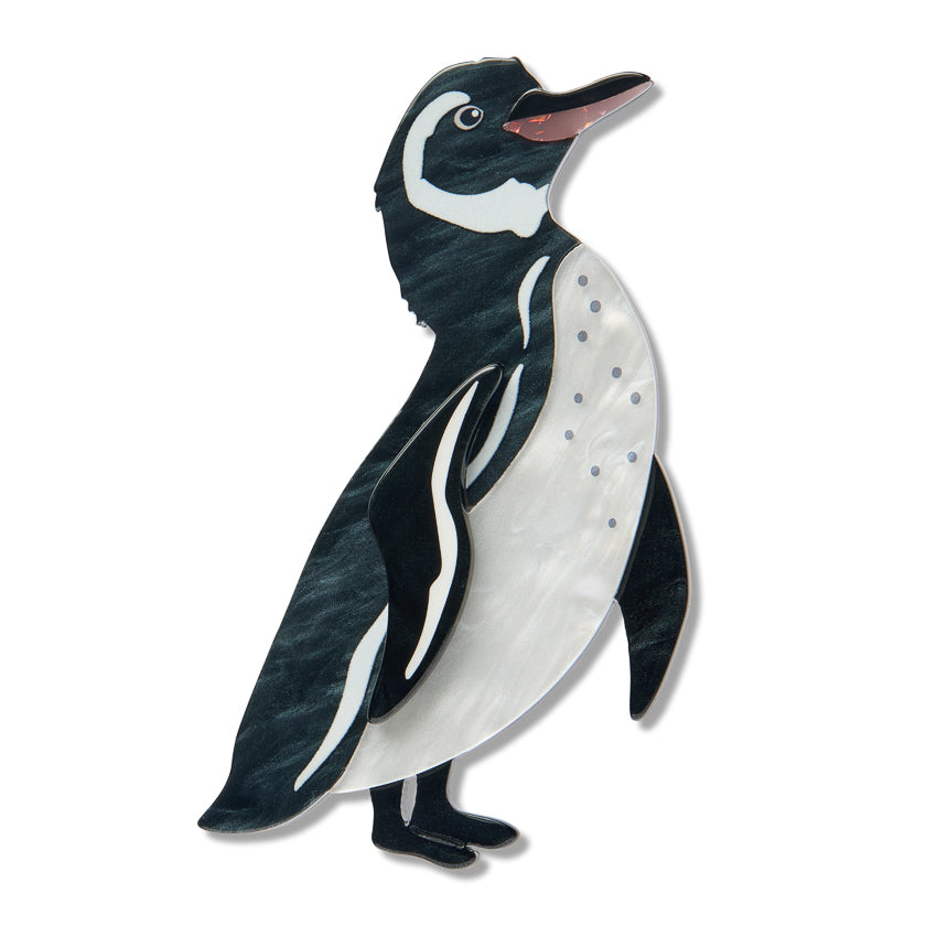 Erstwilder Brooch - The Rarest Kind | Galapagos Penguin