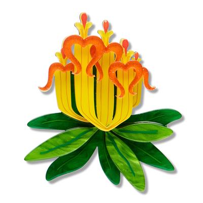 Erstwilder Brooch - Royal Botanic Gardens | Long-flower Mistletoe