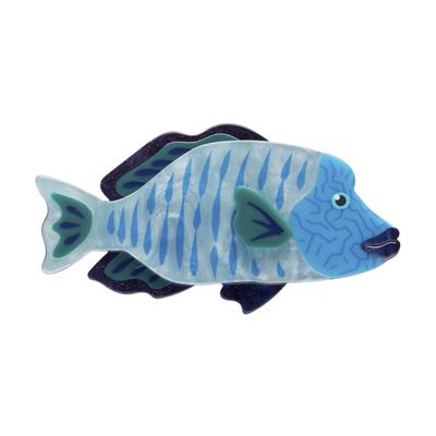 Erstwilder Brooch - Great Barrier Reef | Maori Wrasse