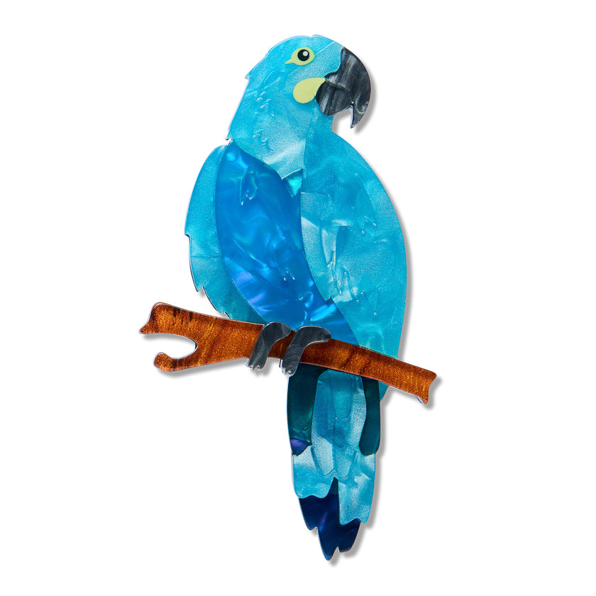 Erstwilder Brooch - The Rarest Kind | Glaucous Macaw